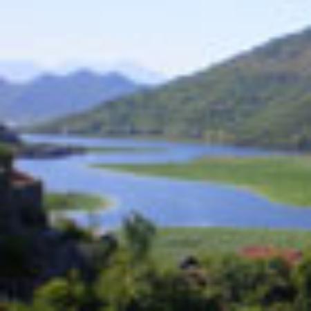 Lush Restaurant & Pub